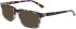 Dragon DR7008 sunglasses in Blue Tortoise/Horn