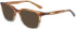 Dragon DR2034 sunglasses in Brown Teal