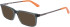 Dragon DR2030 sunglasses in Olive