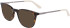 Dragon DR2029 sunglasses in Shiny Tortoise