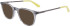 Dragon DR2029 sunglasses in Crystal Grey