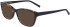 DKNY DK5043 sunglasses in Dark Tortoise