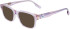 Converse CV5020Y sunglasses in Crystal Himalayan Salt/Crimson