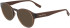 Converse CV5018 sunglasses in Crystal Dark Root