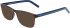 Converse CV5011 sunglasses in Crystal Dark Root