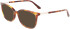 Calvin Klein CK22505 sunglasses in Brown Havana