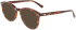 Calvin Klein CK22504 sunglasses in Dark Havana