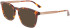 Calvin Klein CK22503 sunglasses in Burgundy Havana