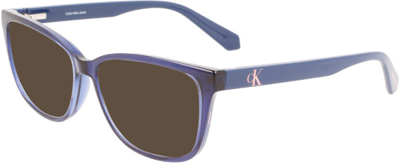 Calvin Klein Jeans CKJ22619 sunglasses in Blue