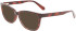 Calvin Klein Jeans CKJ22619 sunglasses in Tortoise