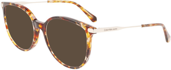 Calvin Klein Jeans CKJ22612 sunglasses in Brown Havana