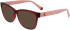 Calvin Klein Jeans CKJ21638 sunglasses in Cherry