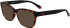 Calvin Klein Jeans CKJ21638 sunglasses in Tortoise
