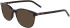 Zeiss ZS22502 sunglasses in Dark Tortoise