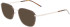 Zeiss ZS22105 sunglasses in Dark Tortoise/Silver