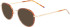 Zeiss ZS22104 sunglasses in Honey Tortoise/Gold