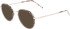 Zeiss ZS22104 sunglasses in Charcoal Tortoise/Silver
