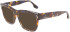 Victoria Beckham VB2638 sunglasses in Havana Blue