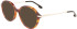 Victoria Beckham VB2637 sunglasses in Tortoise