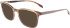 Skaga SK2858 MARK sunglasses in Brown Horn