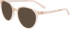Pure P-3016 sunglasses in Nude