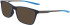Nike NIKE 7286 sunglasses in Matte Obsidian