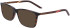 Nike NIKE 7258 sunglasses in Tortoise