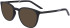 Nike NIKE 7257 sunglasses in Matte Black