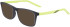 Nike NIKE 5544 sunglasses in Matte Anthracite/Atomic Green