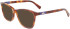 Longchamp LO2700 sunglasses in Havana