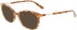 Longchamp LO2696 sunglasses in Havana