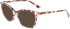 Longchamp LO2694 sunglasses in Rose Havana