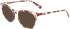 Longchamp LO2693-54 sunglasses in Rose Havana