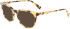 Longchamp LO2693-54 sunglasses in Tokyo Havana
