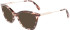 Longchamp LO2692 sunglasses in Rose Havana