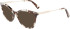Longchamp LO2692 sunglasses in Havana Aqua