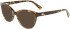 Longchamp LO2688 sunglasses in Dark Havana