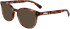 Longchamp LO2686 sunglasses in Red Havana