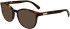 Longchamp LO2686 sunglasses in Havana