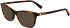 Longchamp LO2685-54 sunglasses in Havana