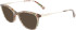 Longchamp LO2683-52 sunglasses in Textured Green