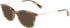 Longchamp LO2683-49 sunglasses in Dark Havana