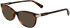 Longchamp LO2616-51 sunglasses in Havana
