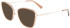 Longchamp LO2150 sunglasses in Brown