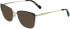 Longchamp LO2144 sunglasses in Blue