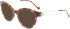 Liu Jo LJ2762R sunglasses in Tortoise