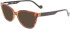 Liu Jo LJ2758 sunglasses in Tortoise