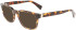 Lanvin LNV2625 sunglasses in Dark Havana