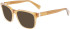 Lanvin LNV2625 sunglasses in Caramel