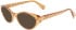 Lanvin LNV2623 sunglasses in Caramel